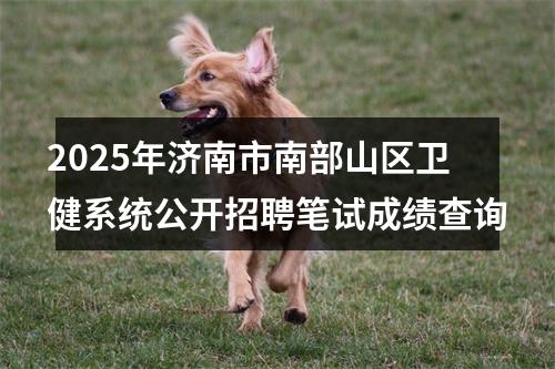 2025年济南市南部山区卫健系统公开招聘笔试成绩查询 图片
