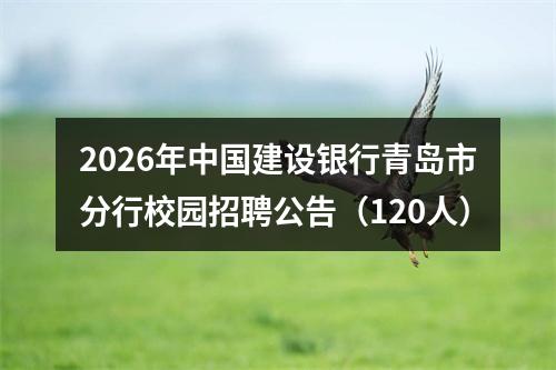 2026年中国建设银行青岛市分行校园招聘公告（120人） 图片
