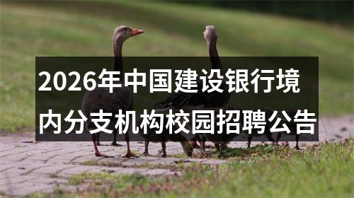 2026年中国建设银行境内分支机构校园招聘公告 图片