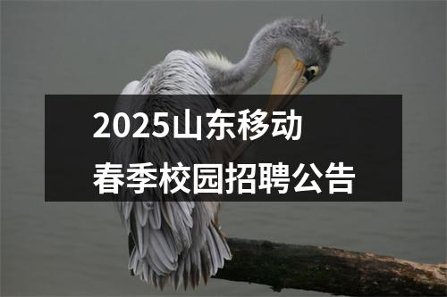 2025山东移动春季校园招聘公告 图片