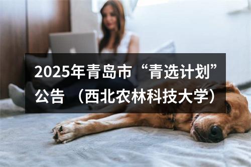 2025年青岛市“青选计划”公告 （西北农林科技大学） 图片
