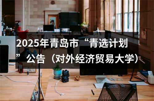 2025年青岛市“青选计划”公告（对外经济贸易大学） 图片