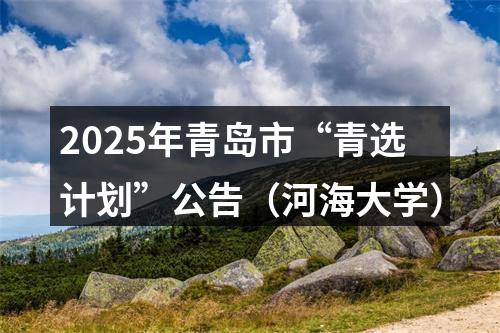 2025年青岛市“青选计划”公告（河海大学） 图片