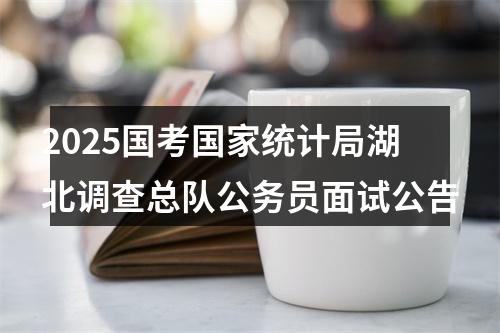 2025国考国家统计局湖北调查总队公务员面试公告 图片