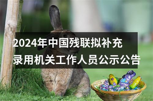 2024年中国残联拟补充录用机关工作人员公示公告 图片