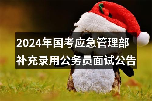 2024年国考应急管理部补充录用公务员面试公告 图片