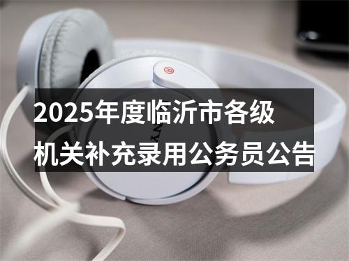 2025年度临沂市各级机关补充录用公务员公告 图片